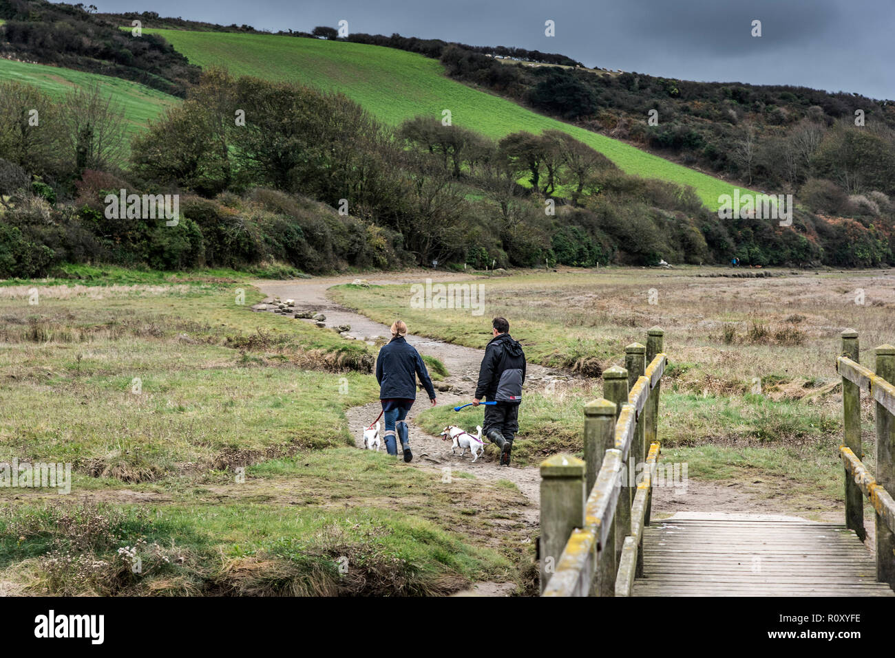 Leute, die Hunde auf einem Wanderweg am Fluss Gannel in Newquay Cornwall. Stockfoto