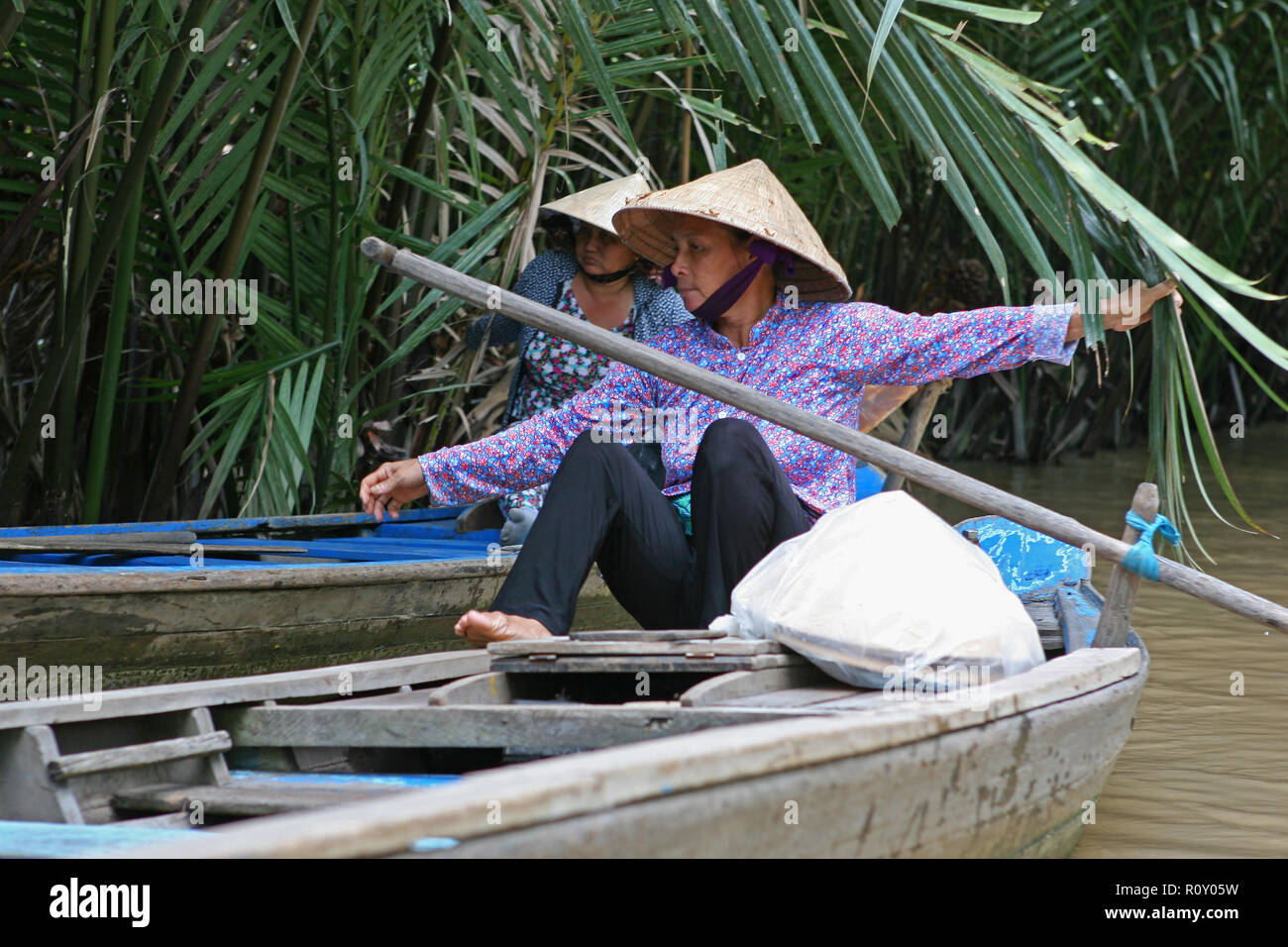 Rückstau-Kanal im Mekong-Delta, Tân An Thượng, Tân Thạch, Châu Thành, Bến Tre, Viet Nam Stockfoto