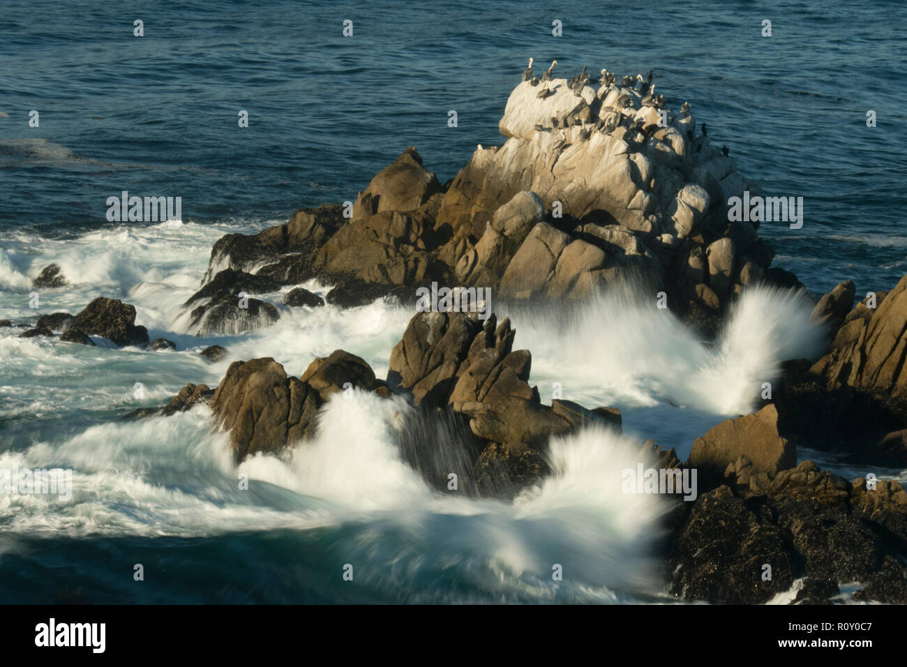 Wellen und Felsen, Point Lobos State Reserve, Carmel, Kalifornien Stockfoto