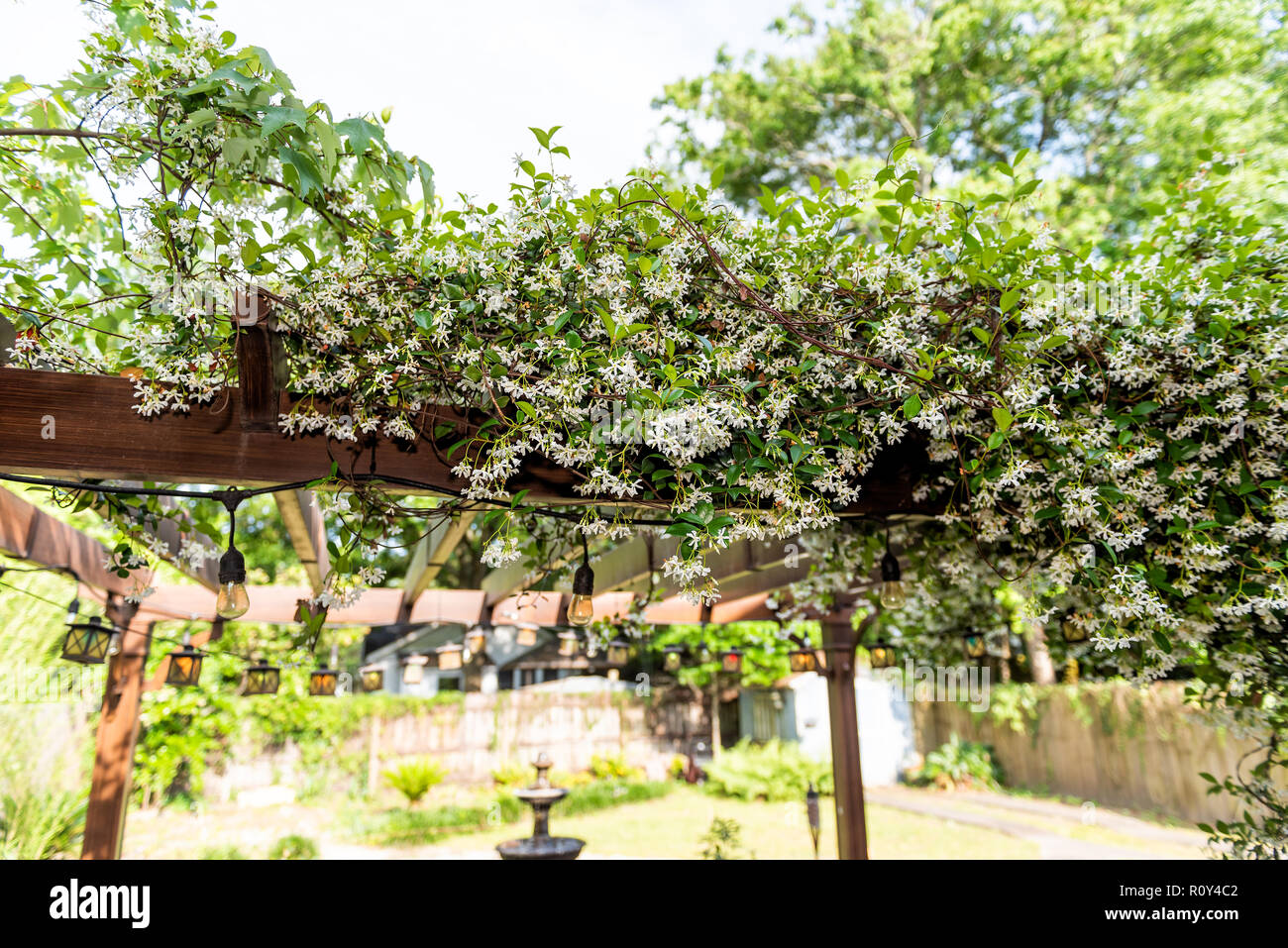 Nahaufnahme der Terrasse im Freien Feder weiß blühender Garten im Hinterhof Halle home, Zen mit Pergola Vordach Pavillon aus Holz, Pflanzen Stockfoto