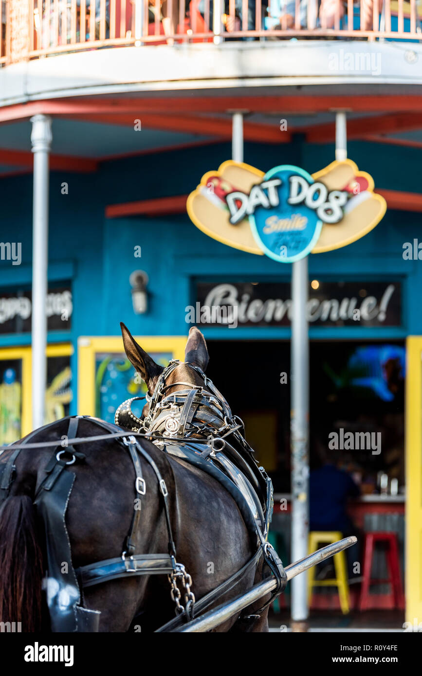 New Orleans, USA - 22. April 2018: Restaurant Dat Hund Verkauf von Hot Dogs mit Pferdekutsche tour Buggy auf Frenchmen Street, Straße blau farbenfrohes Gebäude Stockfoto