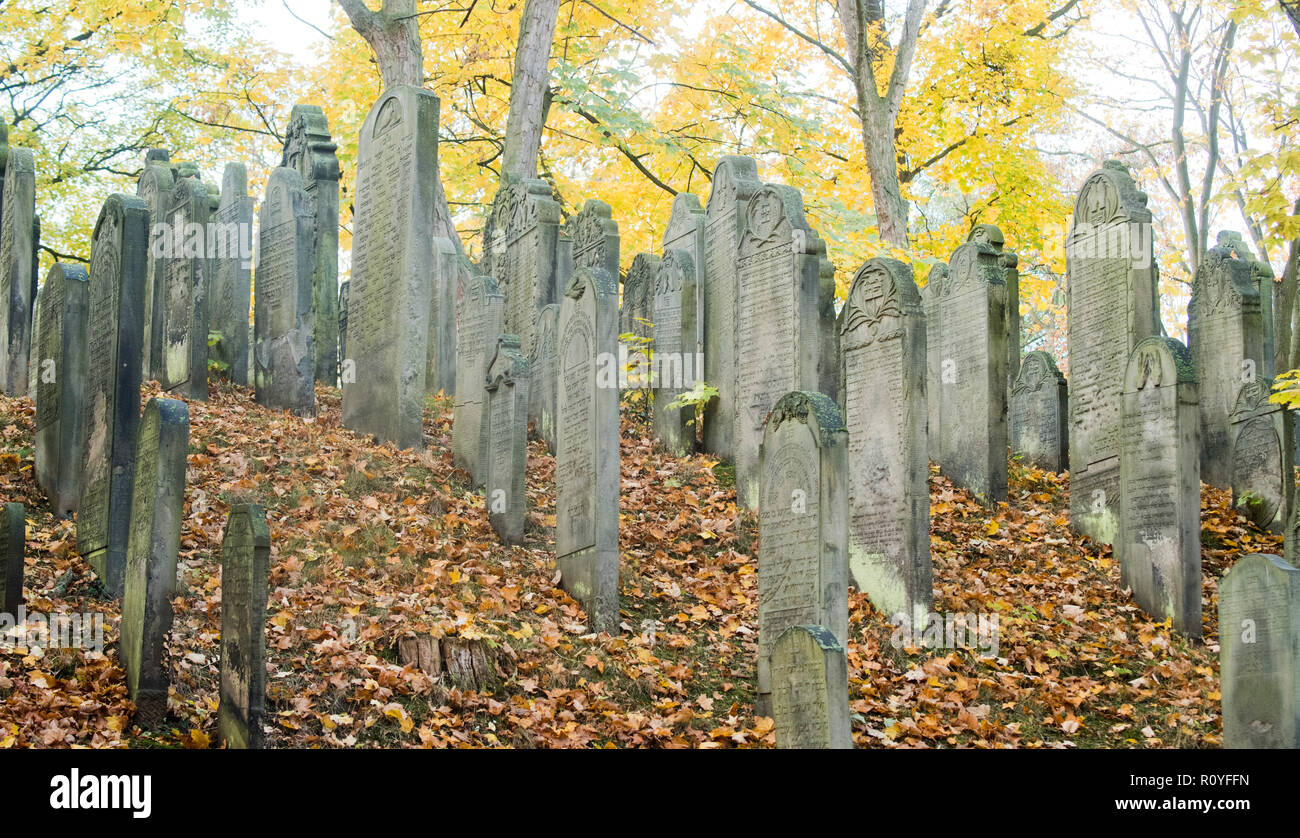 08. November 2018, Niedersachsen, Hannover: Die jüdischen Friedhofs an der Oberstraße in eine herbstliche Stimmung. Der Friedhof mit über 700 Grabsteine wurde um 1550 erbaut. Foto: Julian Stratenschulte/dpa Stockfoto