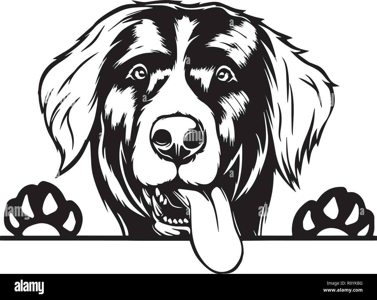 Berner Sennenhund Rasse Kopf isoliert Pedigree Pet Portrait Lächeln glücklich Welpen Gesicht Animal Cartoon Illustration Portrait Kunst Kunstwerk niedliche Design Stock Vektor