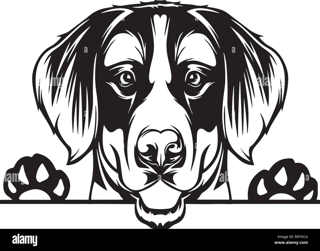 Berner Sennenhund Rasse Kopf isoliert Pedigree Pet Portrait Lächeln glücklich Welpen Gesicht Animal Cartoon Illustration Portrait Kunst Kunstwerk niedliche Design Stock Vektor