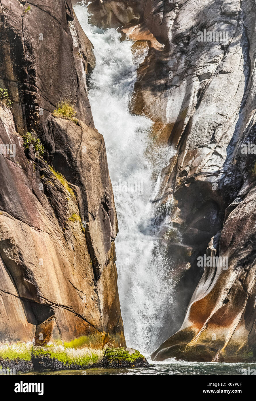 Ein Blick auf den unteren Teil von einem Wasserfall an der Küste von British Columbia, die platzen aus einem schmalen Spalt in einem Granit Felsen (vertikal). Stockfoto