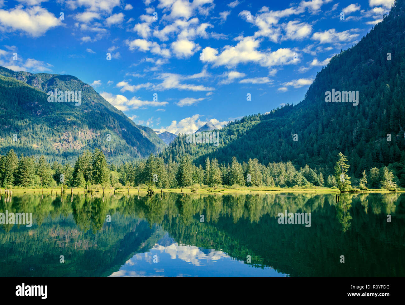 Morgensonne leuchtet, Berge und ein meeresarm an der Spitze der Förde, mit brillanten Farben, die in den ruhigen Wasser reflektiert (British Columbia). Stockfoto