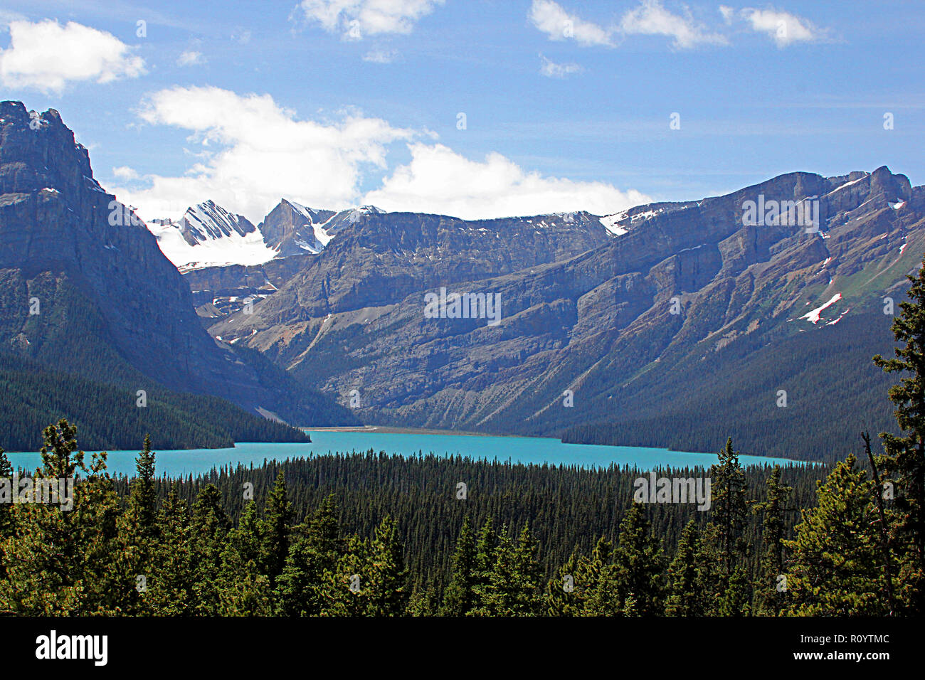 Banff National Park. Hector ist ein kleiner Gletschersee im westlichen Alberta, Kanada. Es ist auf dem Bow River gelegen, in den kanadischen Rockies. Stockfoto