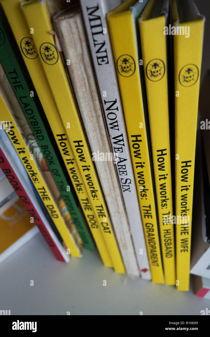 Nahaufnahme der Titel auf eine zufällige Sammlung von Marienkäfer für Grown-Ups, Wie man Bücher Stockfoto