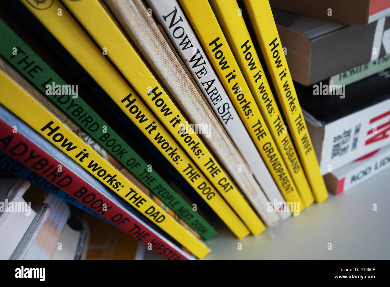 Nahaufnahme der Titel auf eine zufällige Sammlung von Marienkäfer für Grown-Ups, Wie man Bücher Stockfoto
