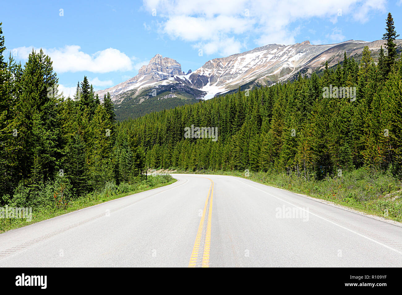 Straße in den Rocky Mountains #93 Banff nach Jasper, Alberta, Kanada Stockfoto