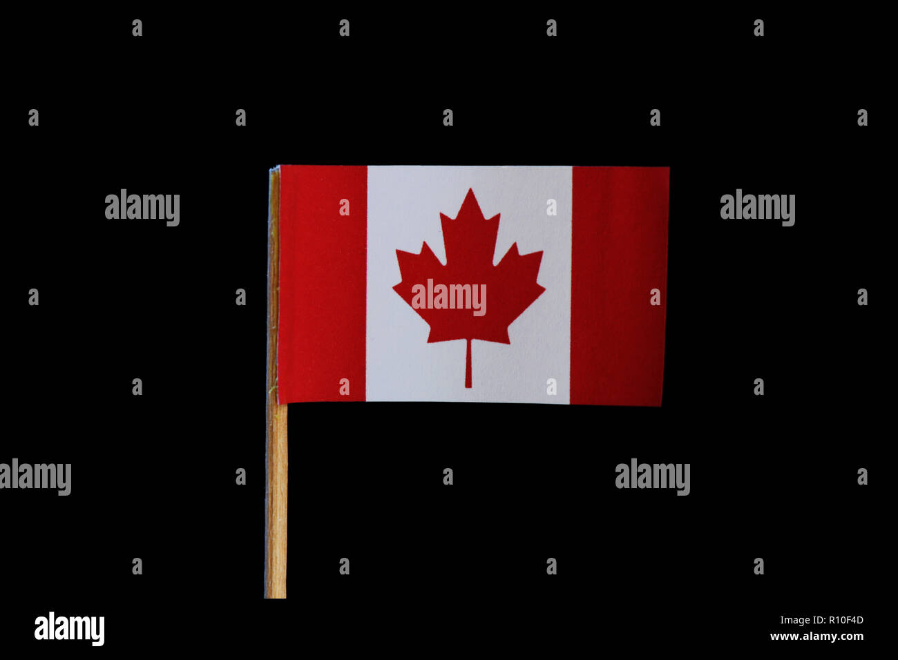 Eine nationale und original Flagge von Kanada auf Zahnstocher auf schwarzem Hintergrund. Eine vertikale Triband von Rot und Weiß mit dem Red maple leaf zentriert auf die Wh Stockfoto