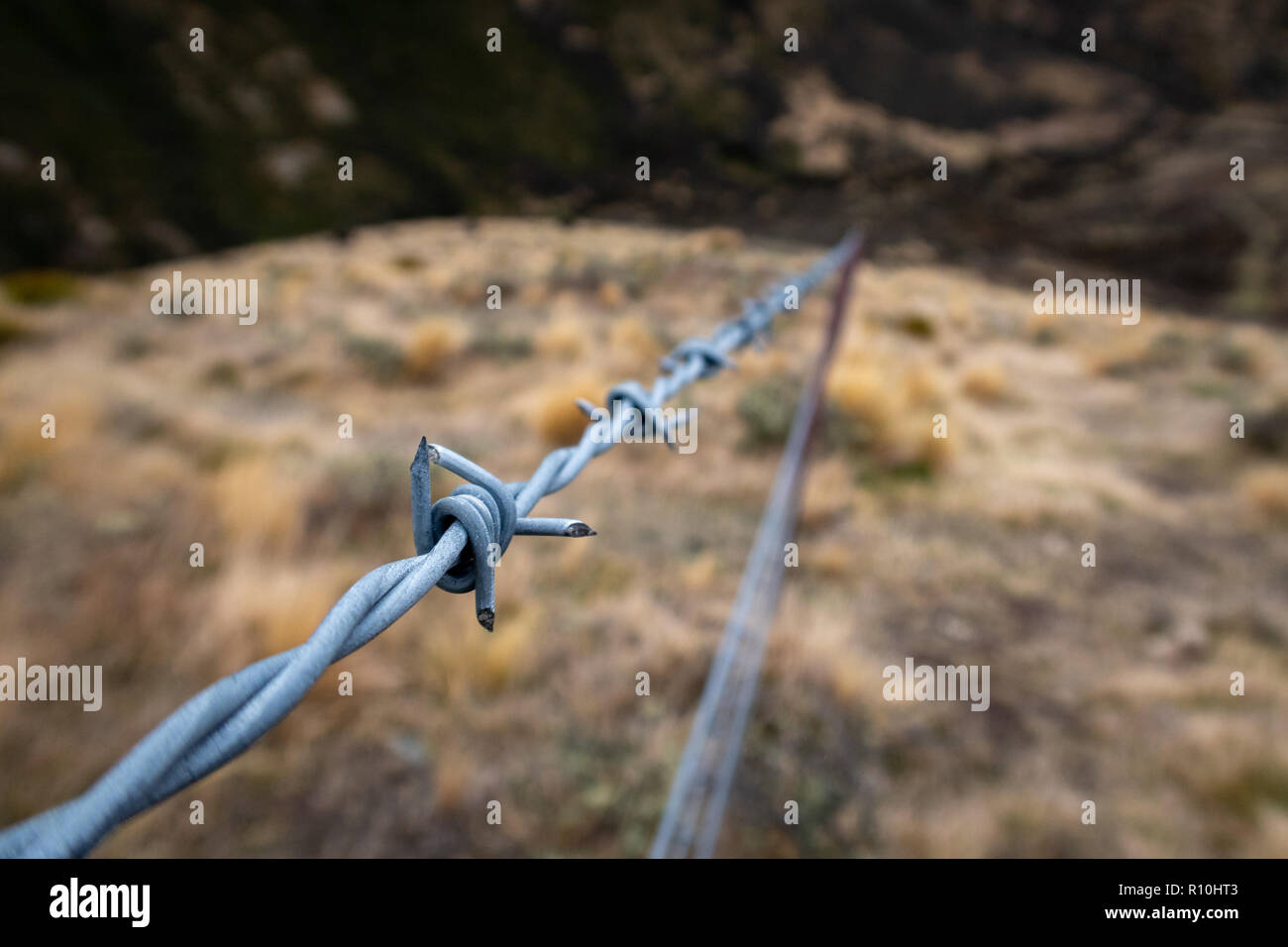 Flache Tiefenschärfe Foto von stacheldraht Abschnitt von einem Zaun in der Landschaft Stockfoto