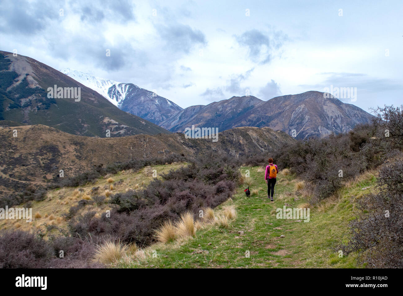 Eine Frau und ihr Hund Leben fit und gesund Lifestyle regelmäßig Wandern in der freien Natur Stockfoto