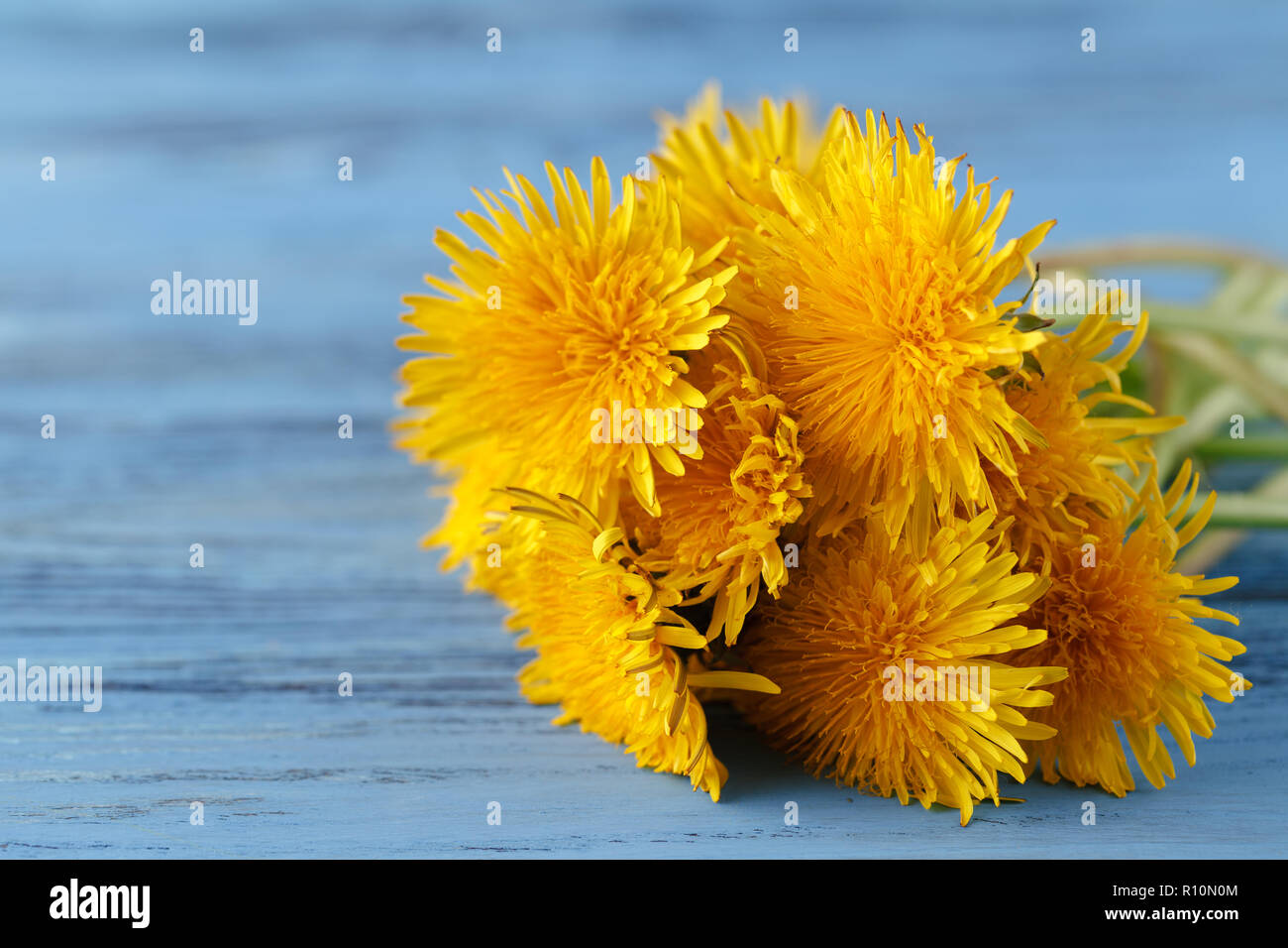Blumenstrauß aus Löwenzahn auf hölzernen Tisch Stockfoto
