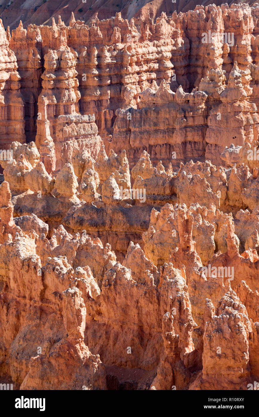 Anzeigen von hoodoo Formationen von den Navajo Loop Trail im Bryce Canyon National Park, Utah, USA. Stockfoto