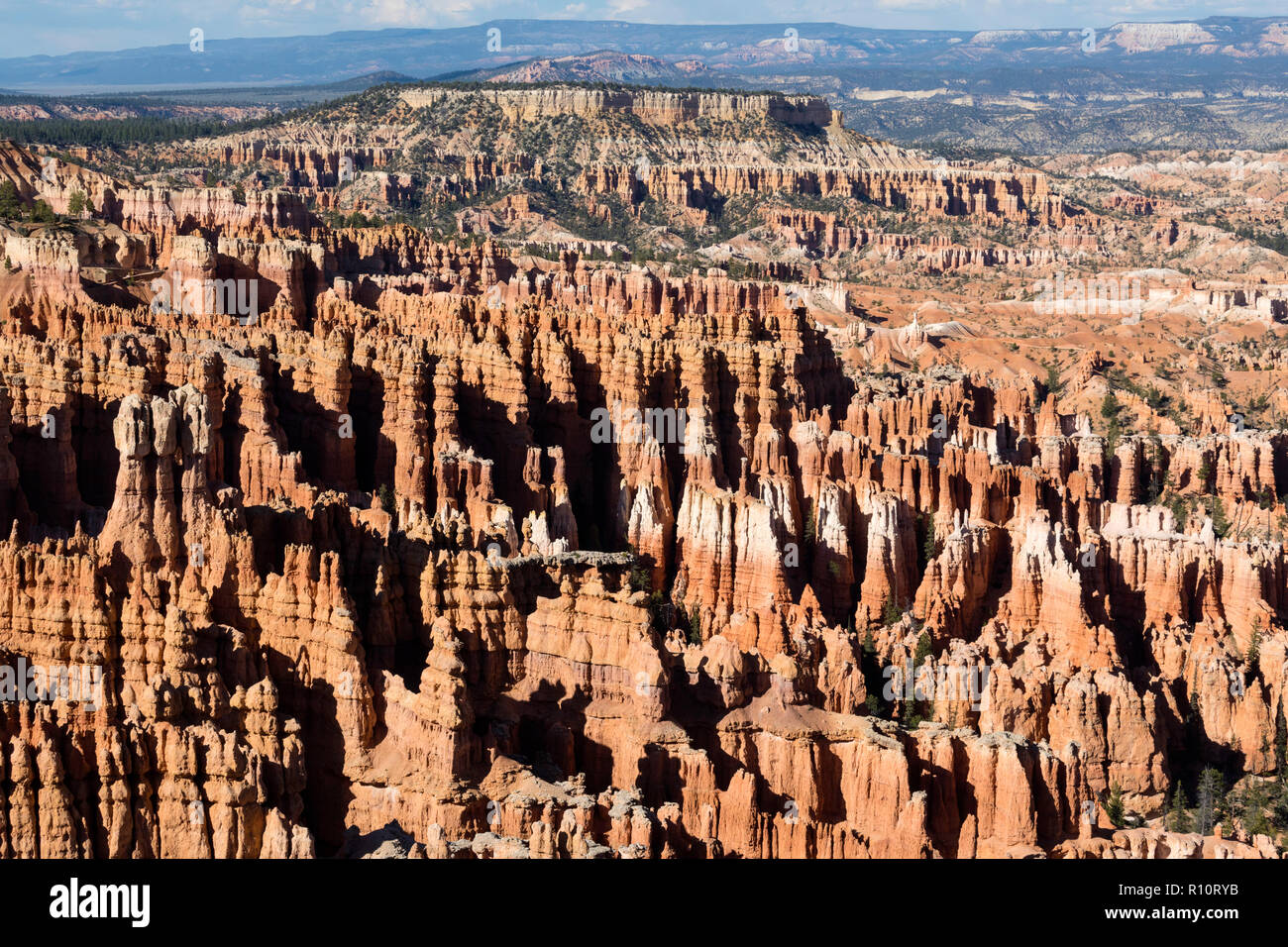 Anzeigen von hoodoo Formationen von den Navajo Loop Trail im Bryce Canyon National Park, Utah, USA. Stockfoto