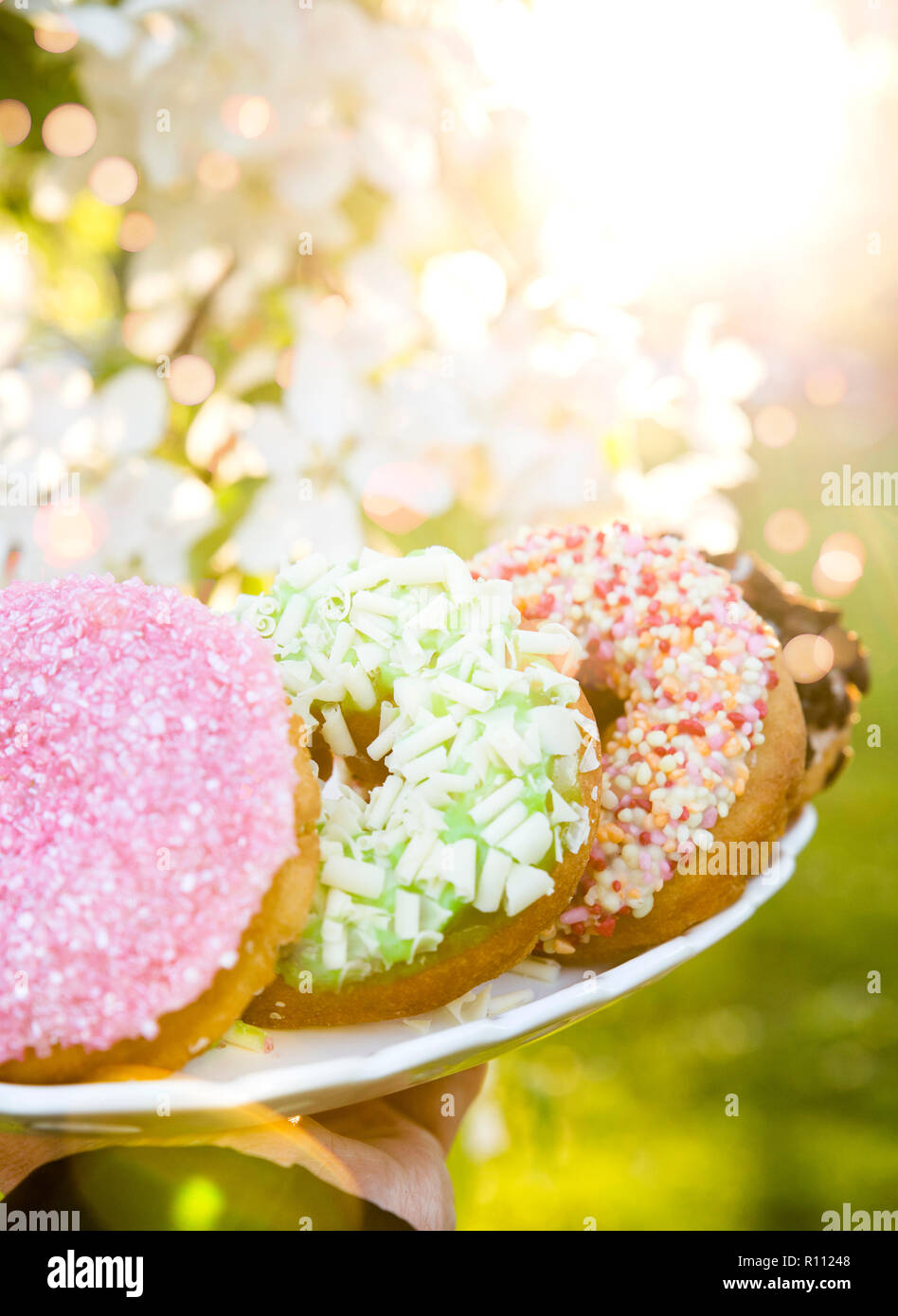 Verschiedene verschiedene Krapfen mit unterschiedlichen Zuckerguß auf White Fancy Fach, Rosa zuckerhaltigen funkelt und Streuseln im Freien im Sommer Nacht. Essen im Freien Stockfoto