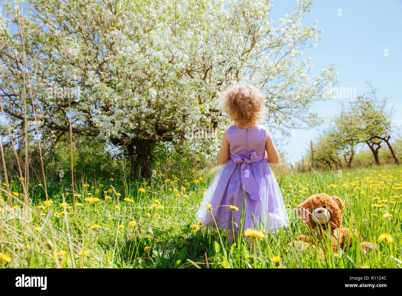 Junge Mädchen in lila Party Kleid bewundern herrlich blühender Apfelbaum külschrank in Grün, Löwenzahn um Sie neben ihr Lieblings Stofftier. Stockfoto