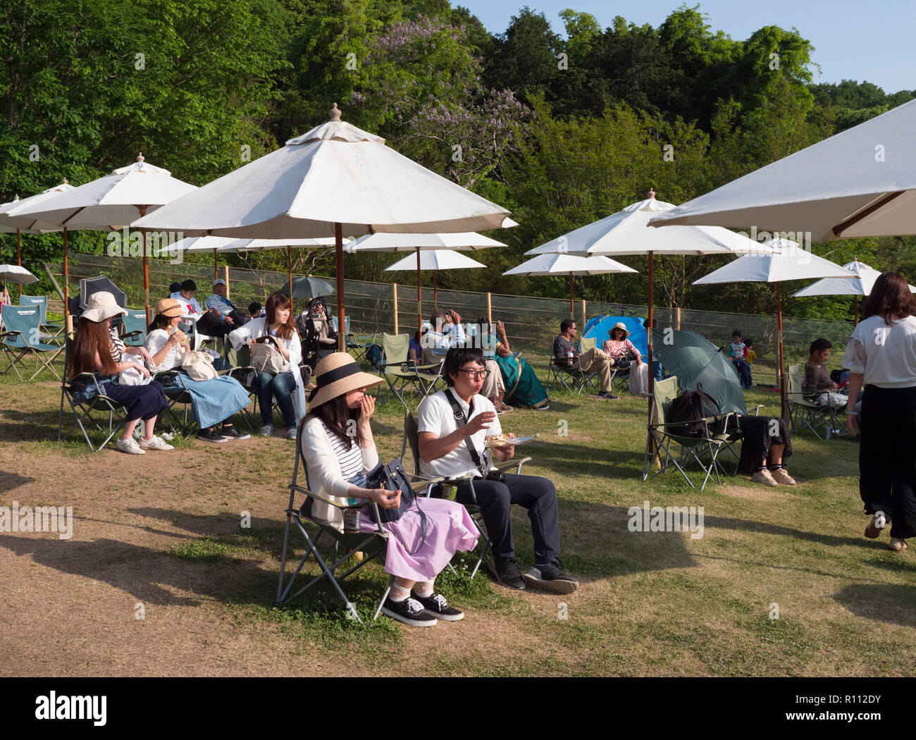 Die Leute sitzen in der Wisteria Flower Park in Ashikaga, Japan. Stockfoto