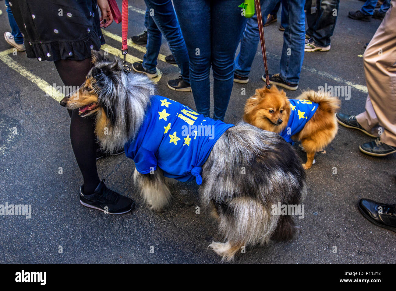 London, Großbritannien. 20. Oktober, 2018. Die Abstimmung März für Neue Brexit Referendum. Stockfoto