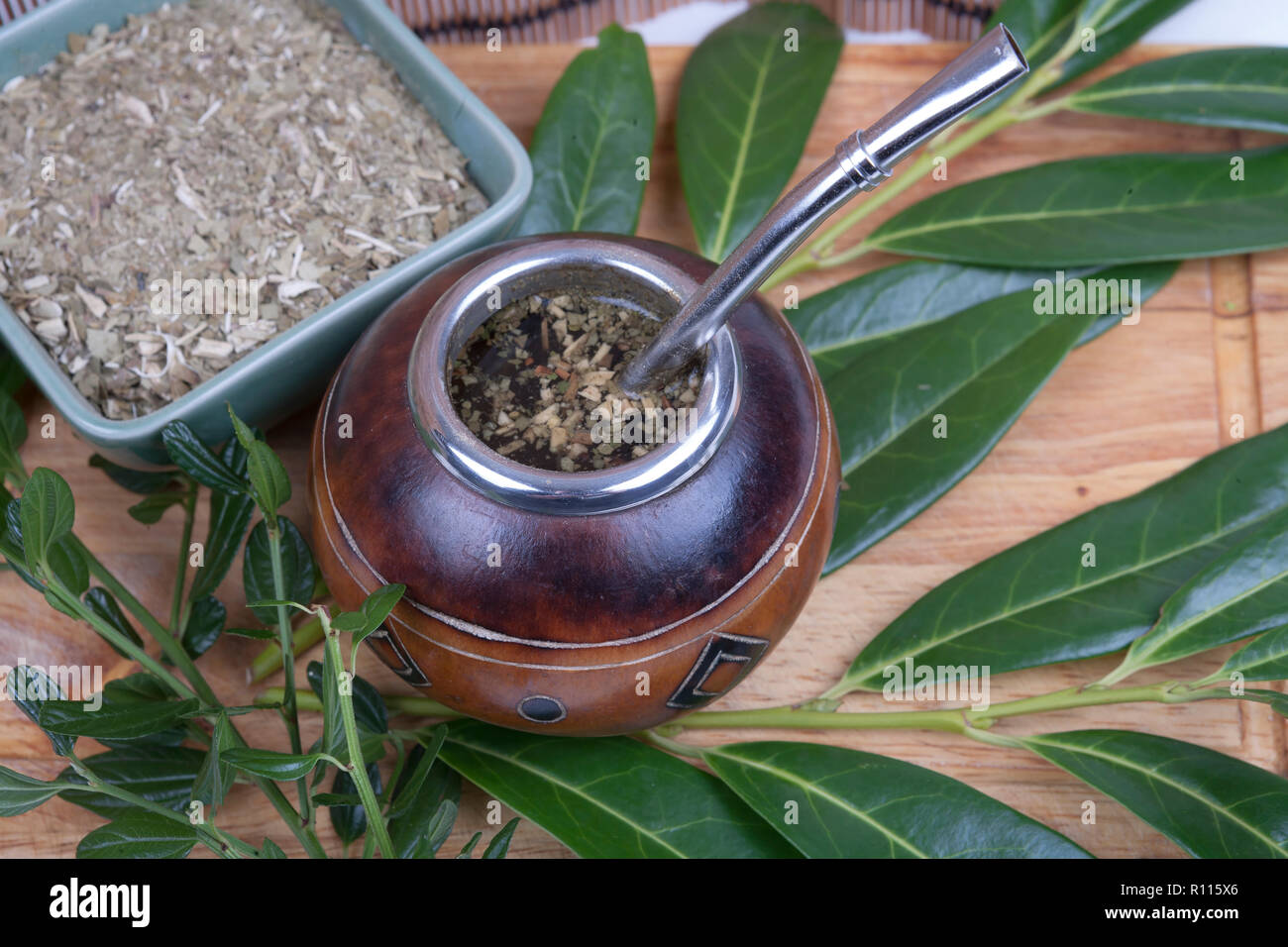 Yerba mate pflanze Fotos und Bildmaterial in hoher Auflösung Alamy