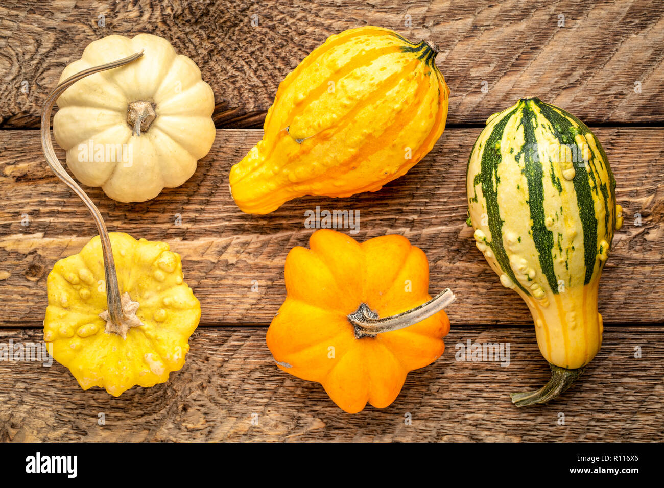 Dekorative Kürbisse gegen rustikalen Herbstferien Dekoration Stockfoto
