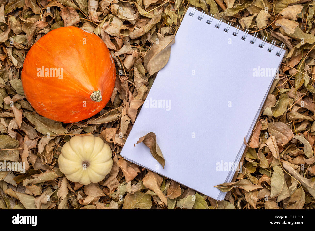 Leer, spiral Skizzenbuch gegen trockene Herbst Blätter mit ornamentalen Kürbis Stockfoto