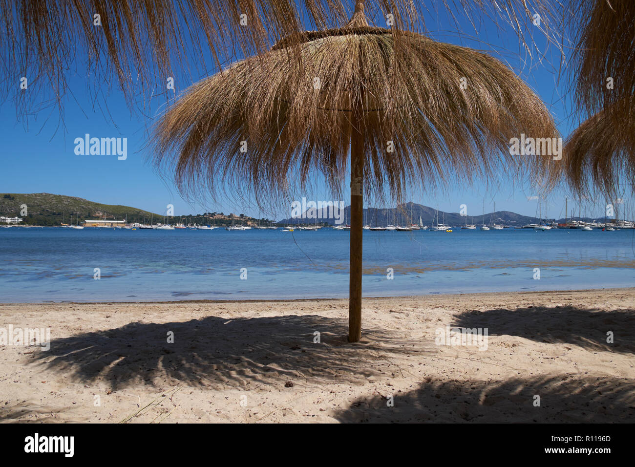 Palapa Sonnenschutz am Strand von Port de Pollenca (oder Puerto de Pollensa), Mallorca, Balearen, Spanien. Stockfoto