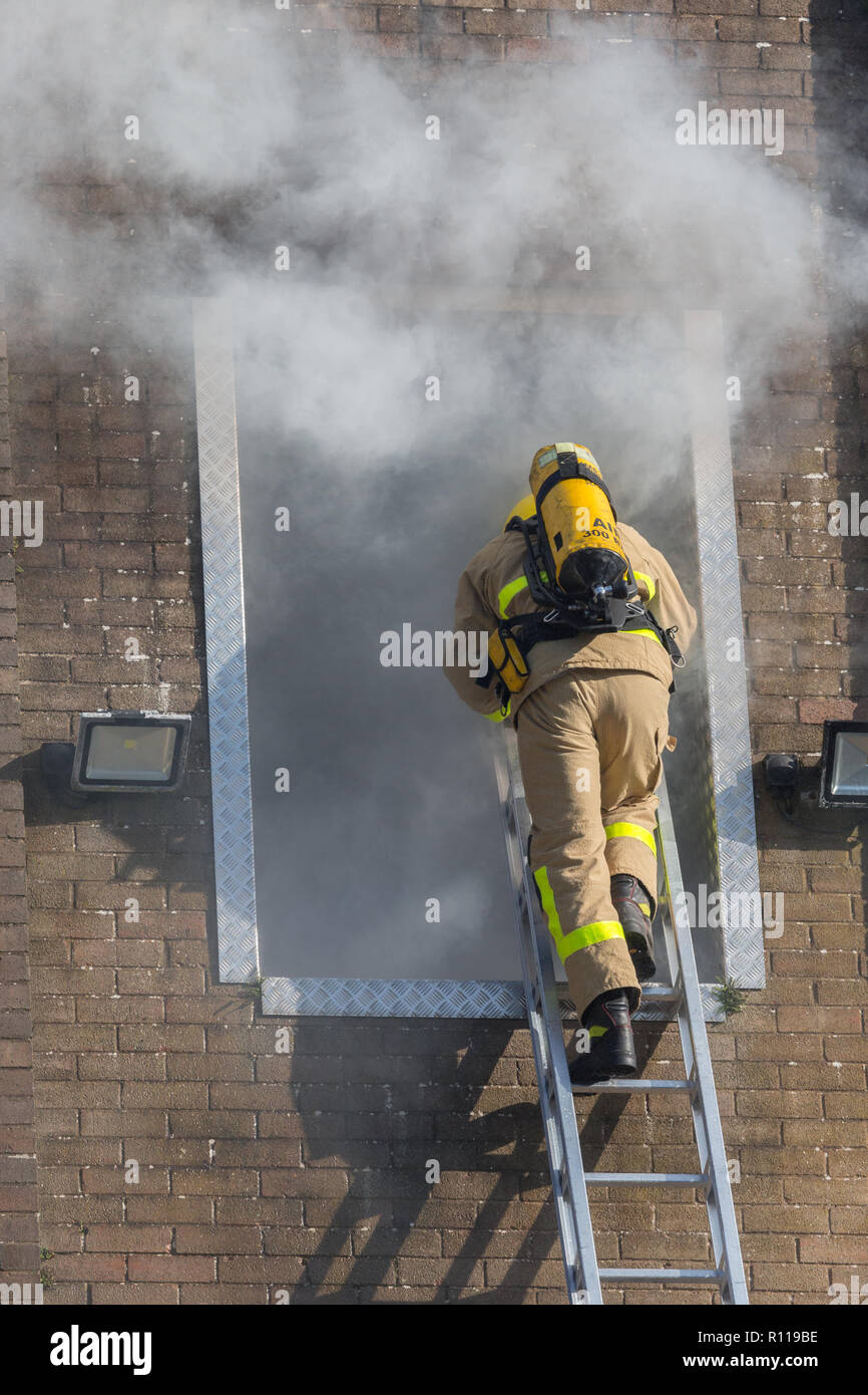 Ein Feuerwehrmann mit Leiter Zugriff auf ein Rauch Turm während einer Übung gefüllt Stockfoto