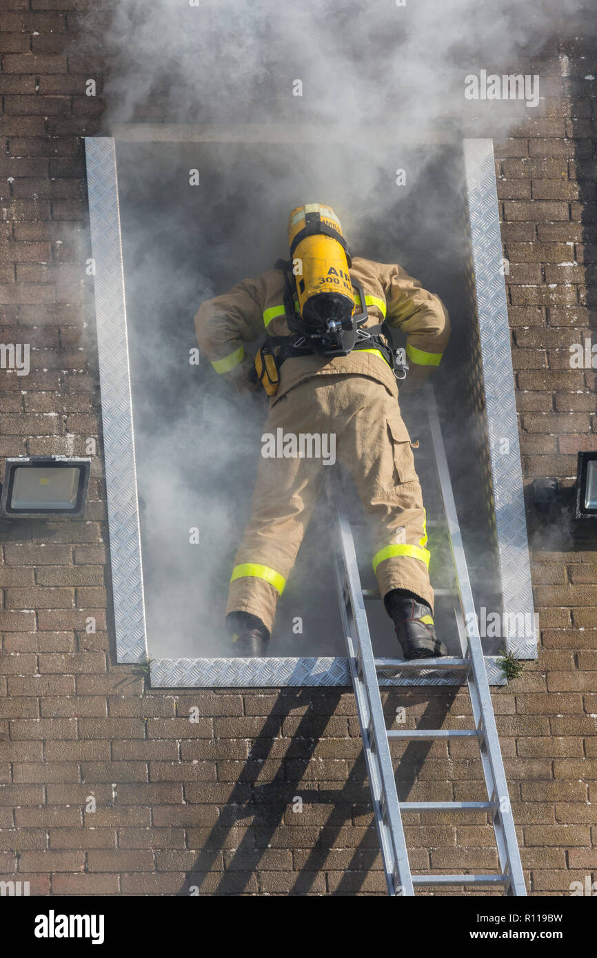 Ein Feuerwehrmann mit Leiter Zugriff auf ein Rauch Turm während einer Übung gefüllt Stockfoto