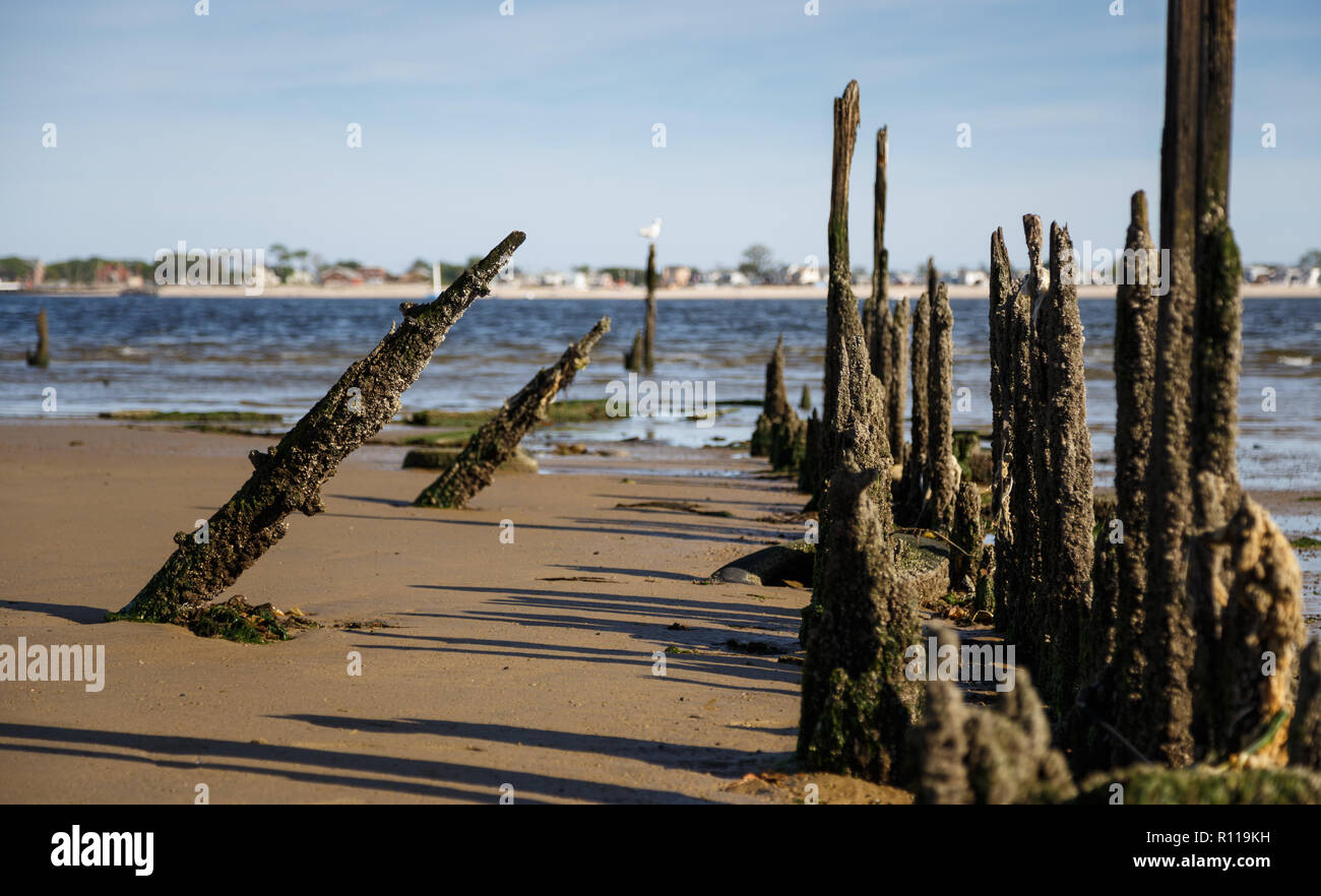 Blick durch einen Korridor von morschem Holz-pilings an Dead Horse Bay. Roxbury Gemeinschaft auf der Rockaway Halbinsel ist in der Ferne. Stockfoto