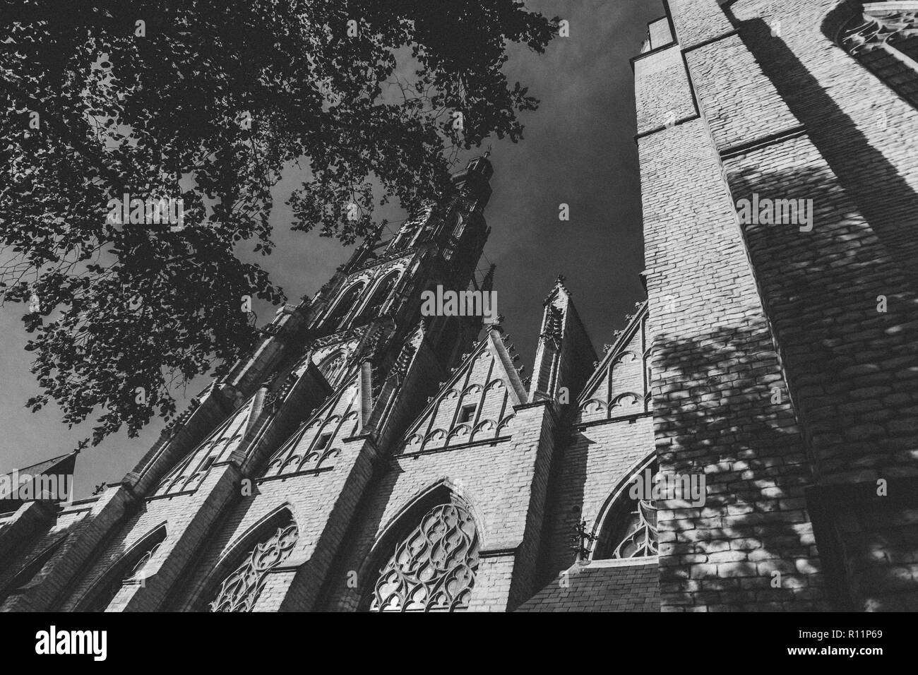 Schönen schwarz-weiß Bild von Breda Kathedrale, Niederlande - beeindruckende Architektur, eindrucksvollen Spiel von Licht und Schatten Stockfoto
