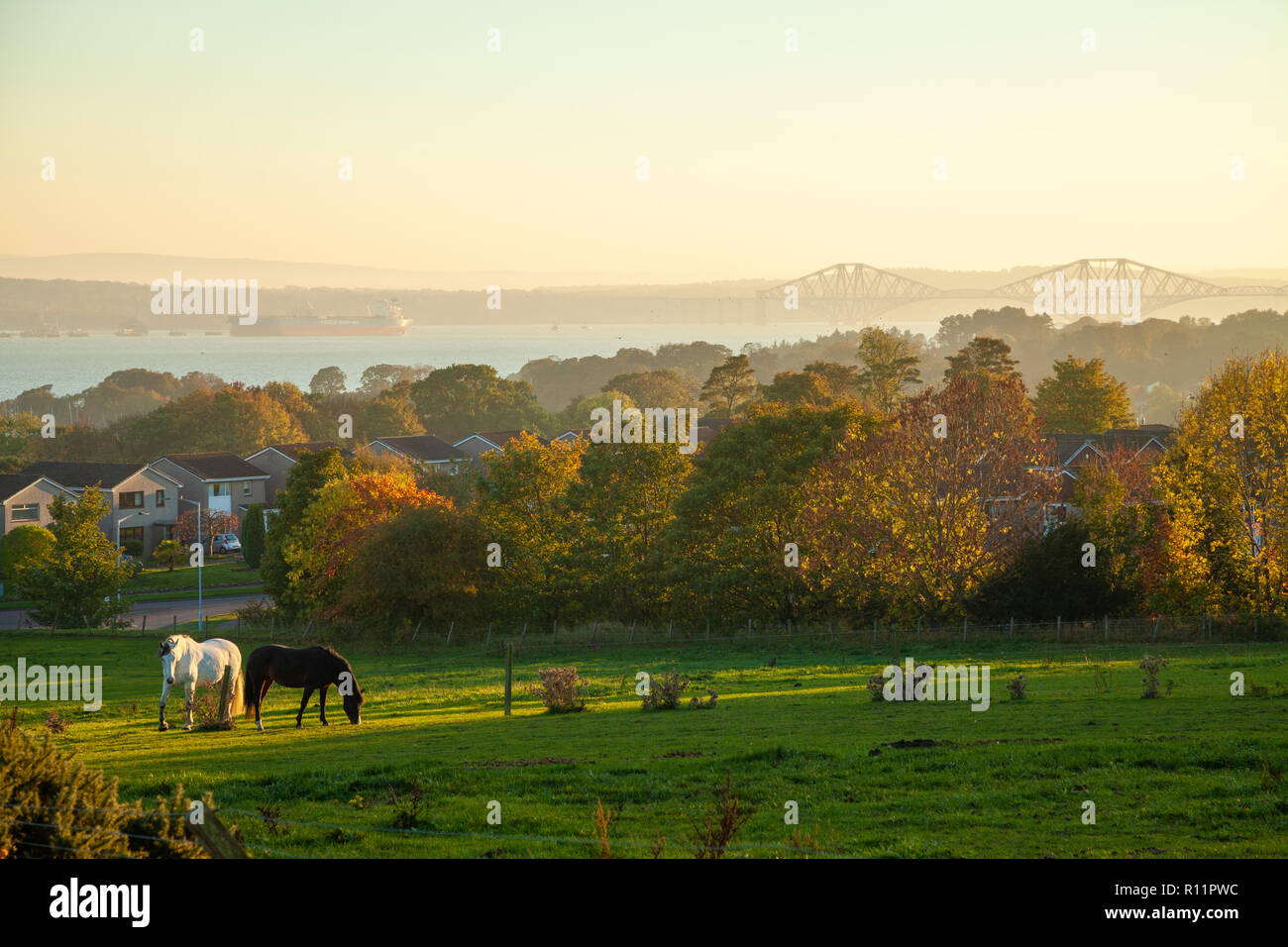 Mit Blick auf die Forth Rail Bridge von Dalgety Bay Fife in Schottland. Stockfoto