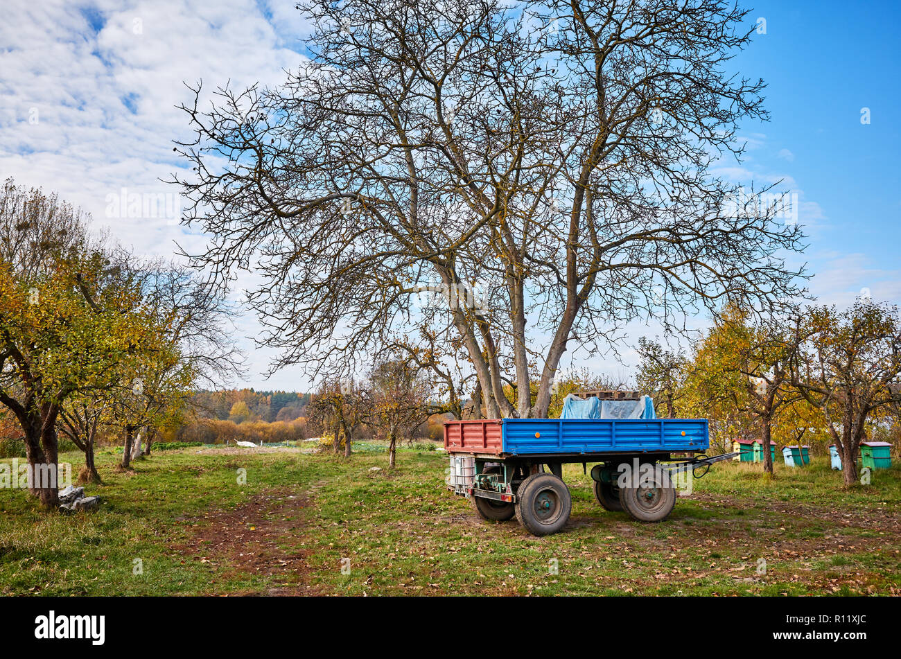 Traktor Anhänger auf einer Farm im Herbst. Stockfoto