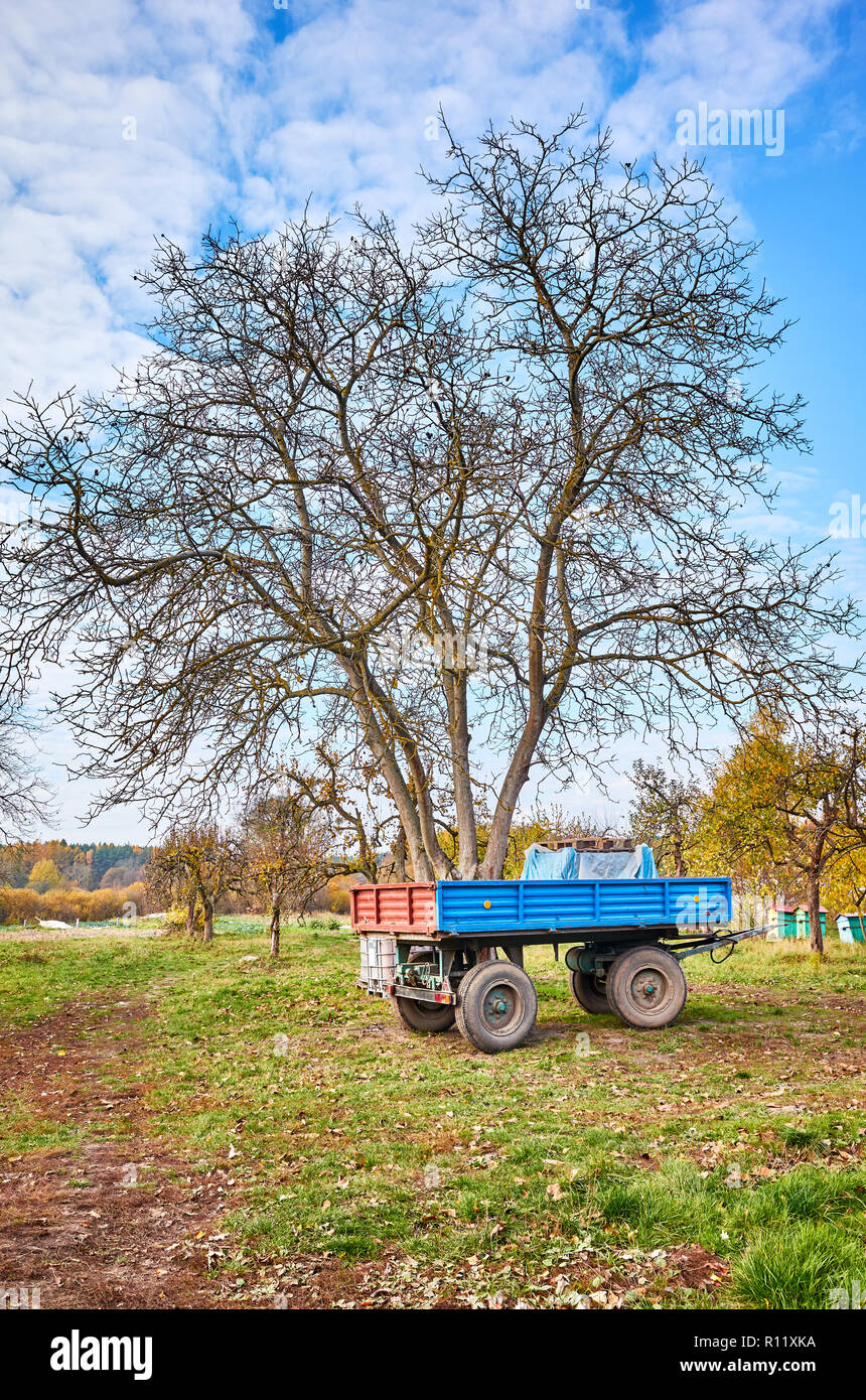 Traktor Anhänger auf einer Farm im Herbst. Stockfoto
