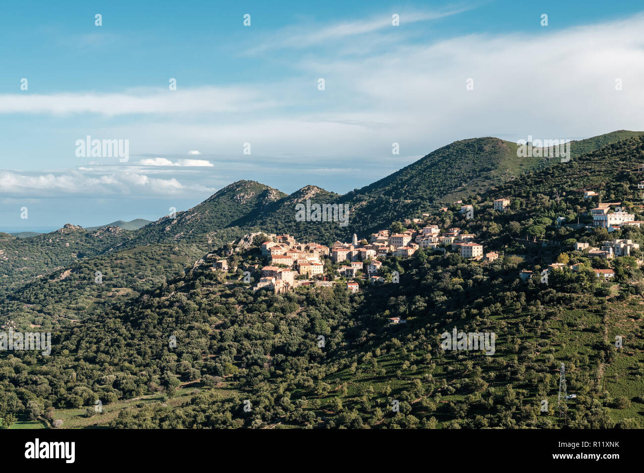 Am frühen Morgen die Sonne auf das Bergdorf Belgodere in der Balagne Korsika Stockfoto