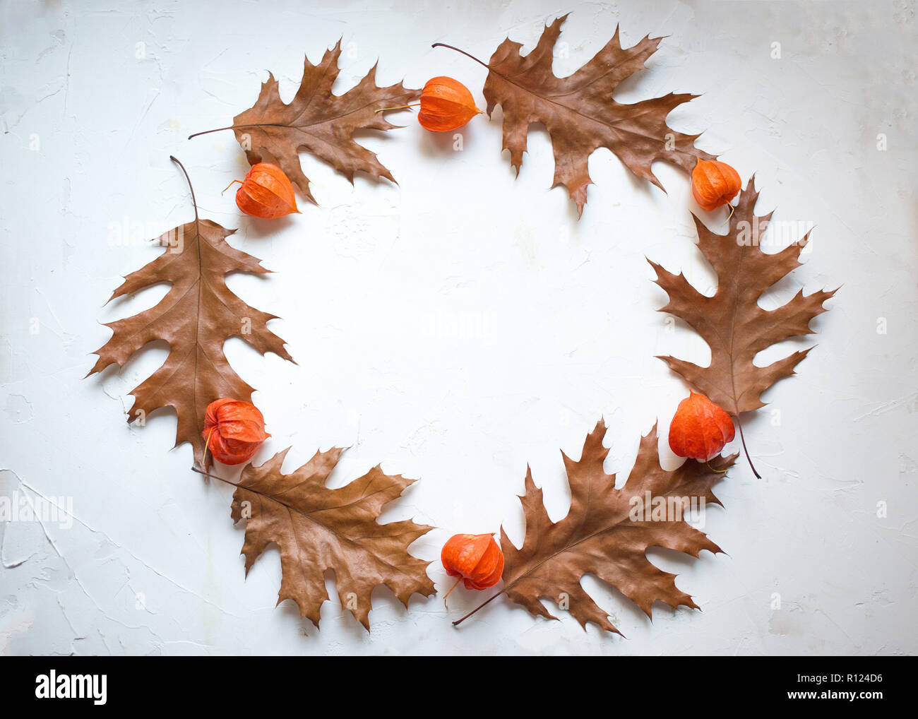 Herbst Kranz aus Herbst Ahorn Blätter und physalis Blumen. Flach, Ansicht von oben Stockfoto