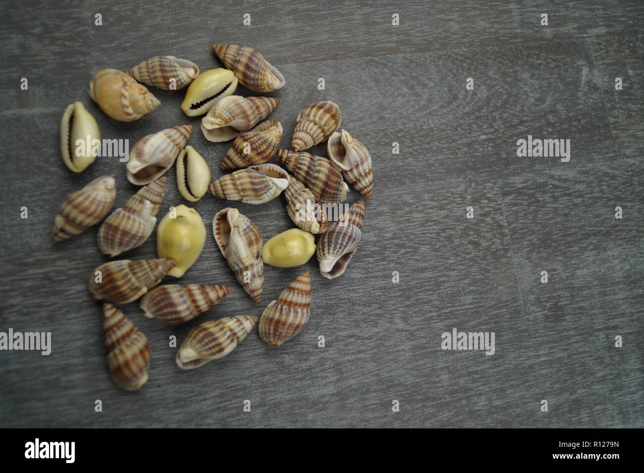 Die europäische Fischerei Gesetz Stockfoto