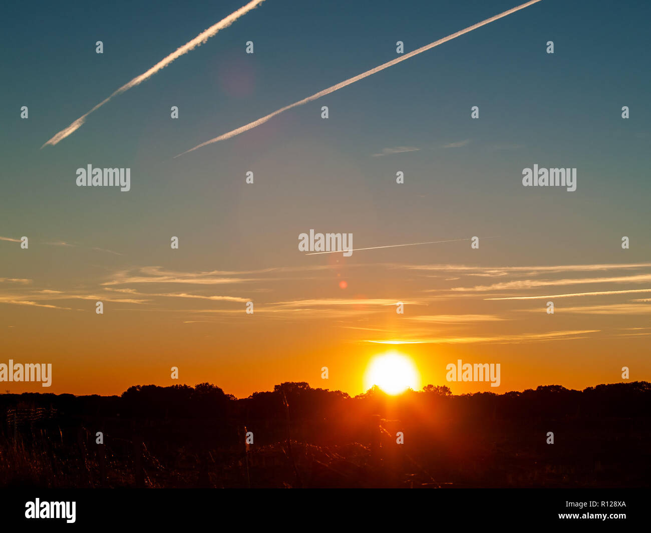 Sonnenuntergang auf der Weide mit romantischen Himmel mit Chemtrails und lens flare Stockfoto