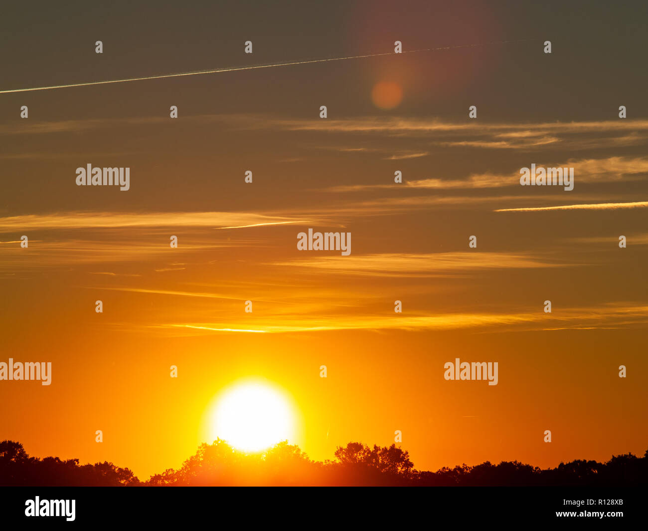 Sonnenuntergang auf der Weide mit romantischen Himmel mit Chemtrails und lens flare Stockfoto