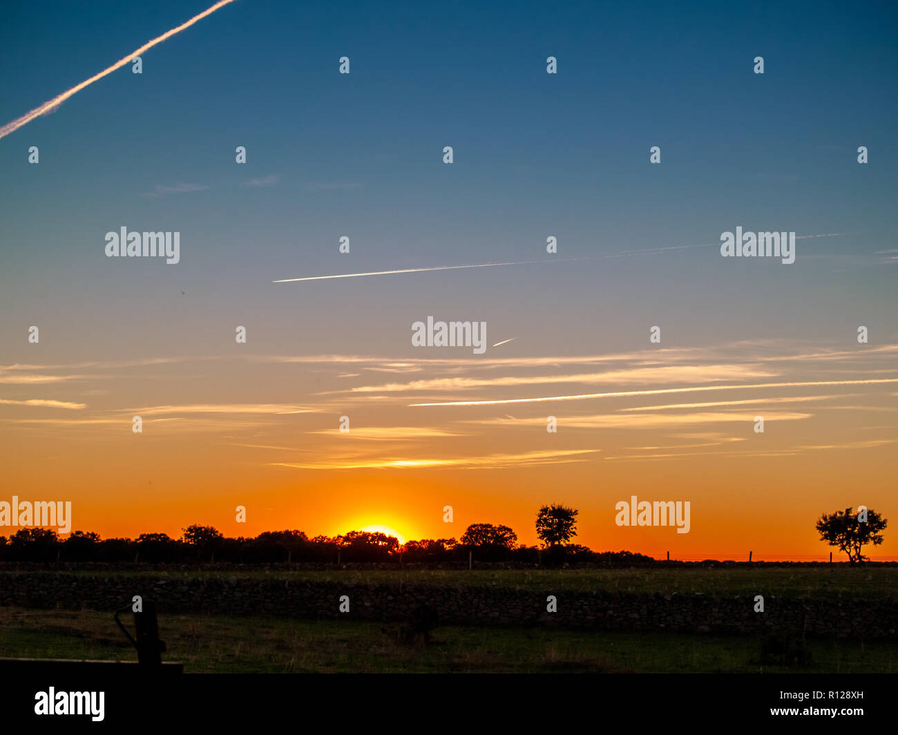 Sonnenuntergang auf der Weide mit romantischen Himmel mit Chemtrails und lens flare Stockfoto