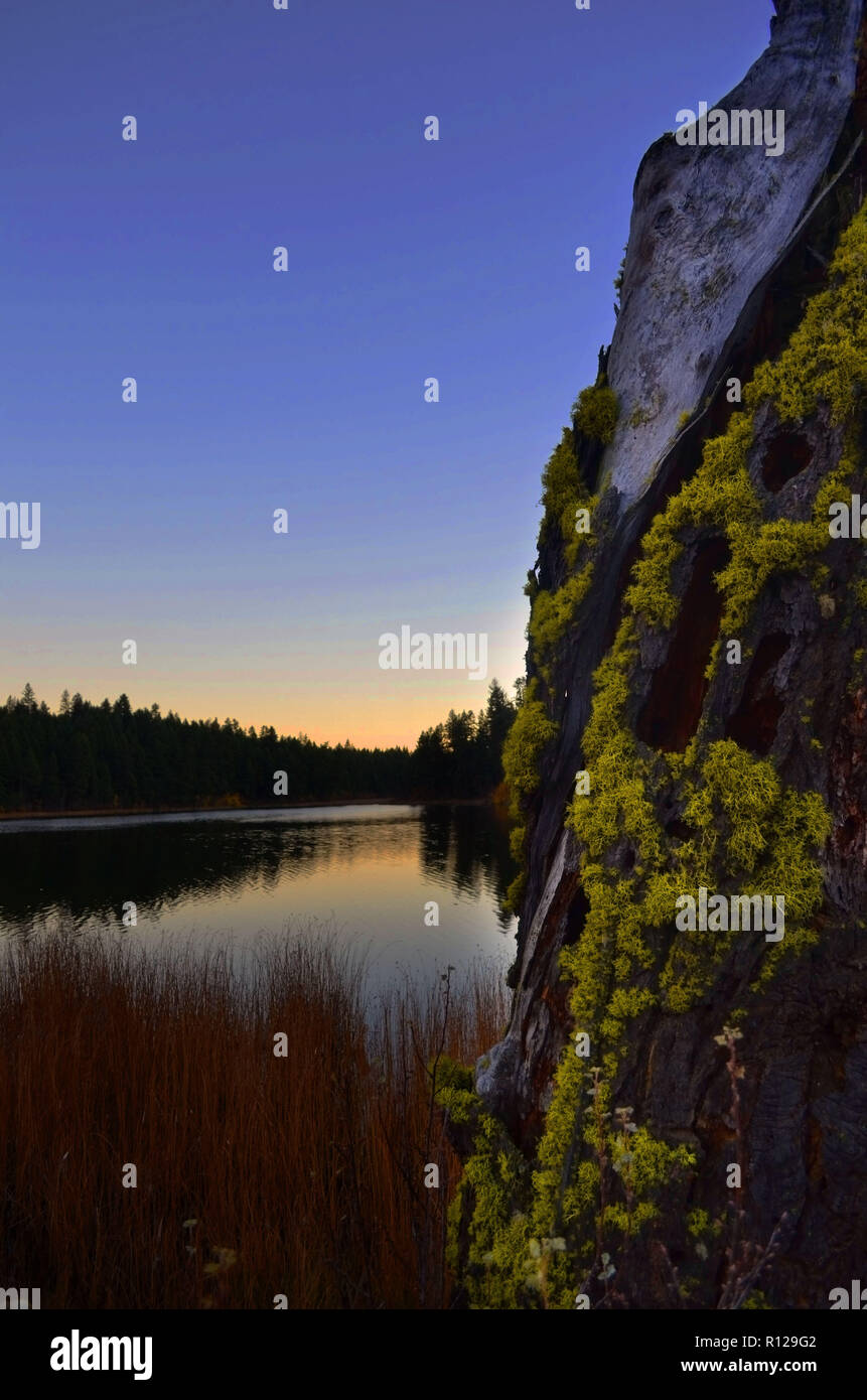 Natur entdecken Stockfoto