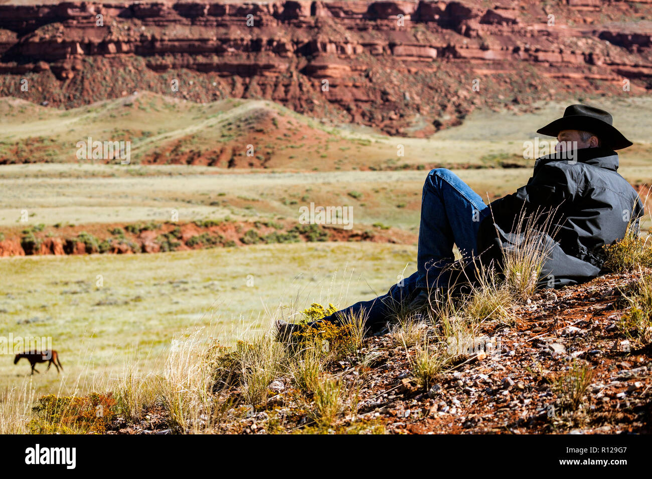 WY 02445-00 ... WYOMING - Cowboy ruht auf einem Hügel an der Willow Creek Ranch Stockfoto