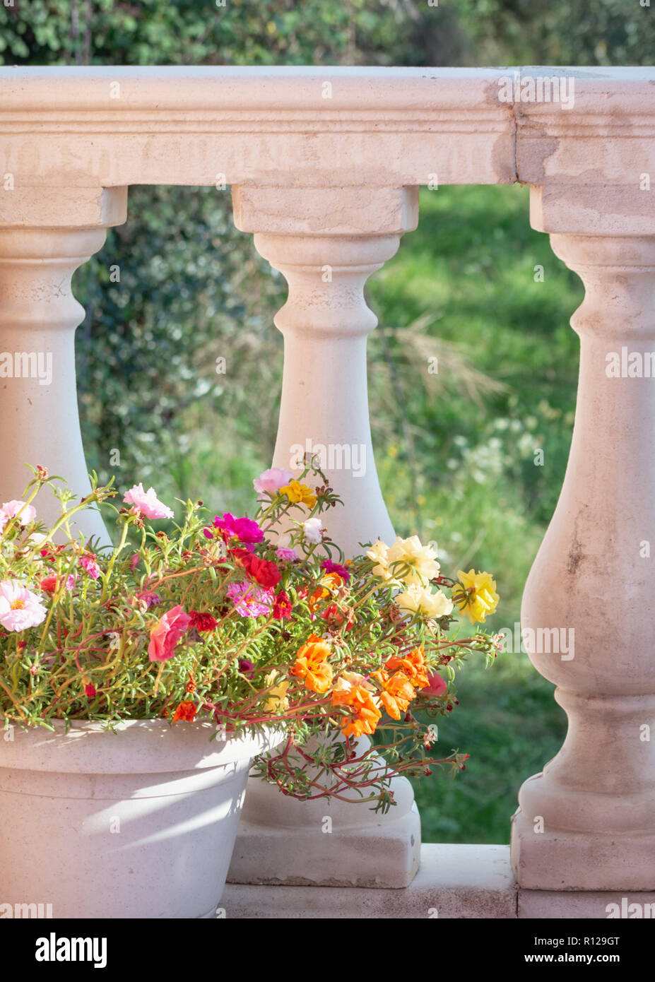 Balustrade aus Säulen, auf der Terrasse, die mit einem Blumentopf dekoriert ist Stockfotografie