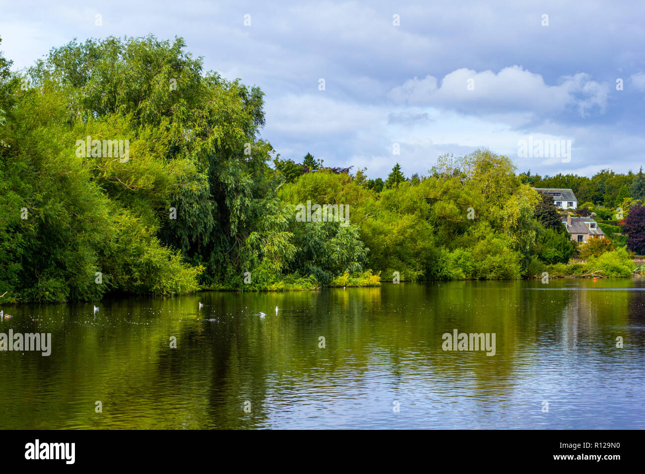 Linlithgow Loch in Linlithgow, Schottland Stockfoto