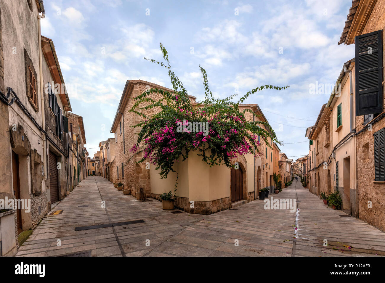 Alcudia, Mallorca, Balearische Inseln, Spanien, Europa Stockfoto