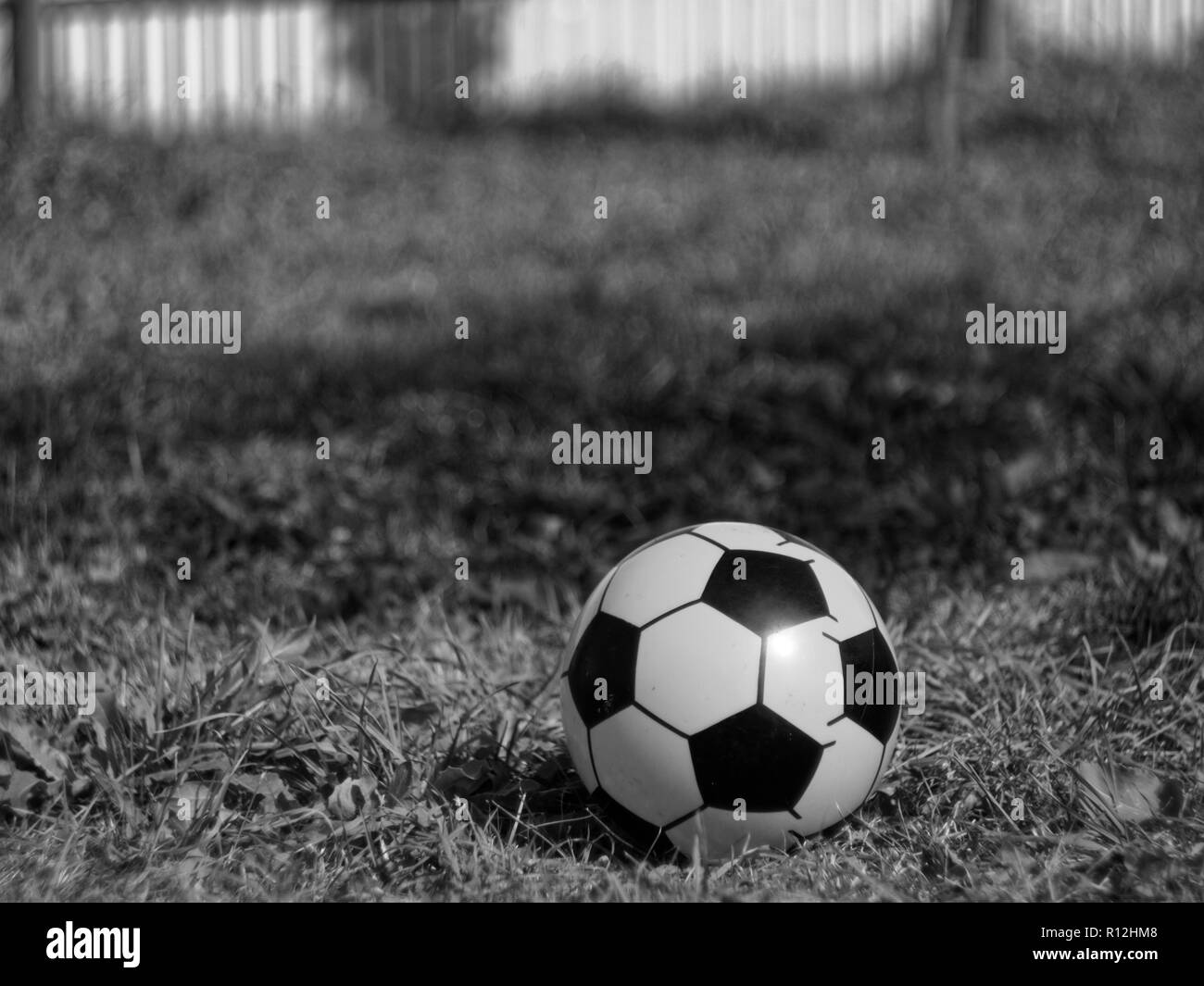 Gummi Fußball auf Gras im Sommer, ein schwarz-weiß Foto Stockfoto