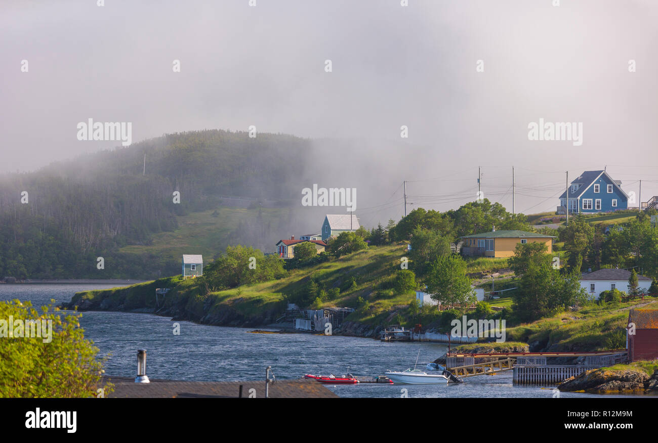 Dreifaltigkeit, Neufundland, Kanada - Nebel in der kleinen Küstenstadt Dreifaltigkeit, auf die Trinity Bay. Stockfoto