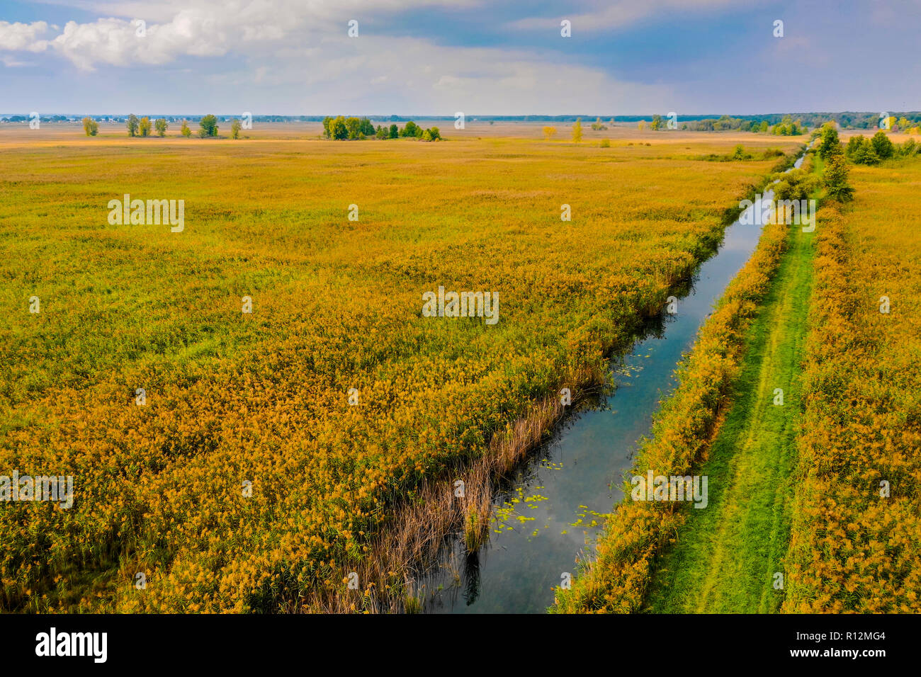 St. John's Marsh Luftaufnahme von Süßwasser-Feuchtgebiete, mit invasiven Arten Phragmites, Michigan, USA gefüllt Stockfoto