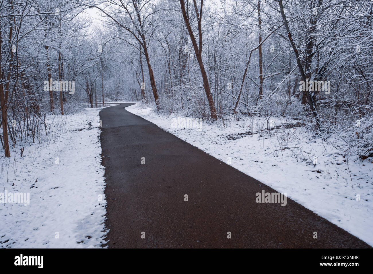 Ein Wintermärchen - ein Trail schlängelt sich durch eine verschneite Wälder in Clinton River Park, Sterling Heights, Michigan, USA Stockfoto
